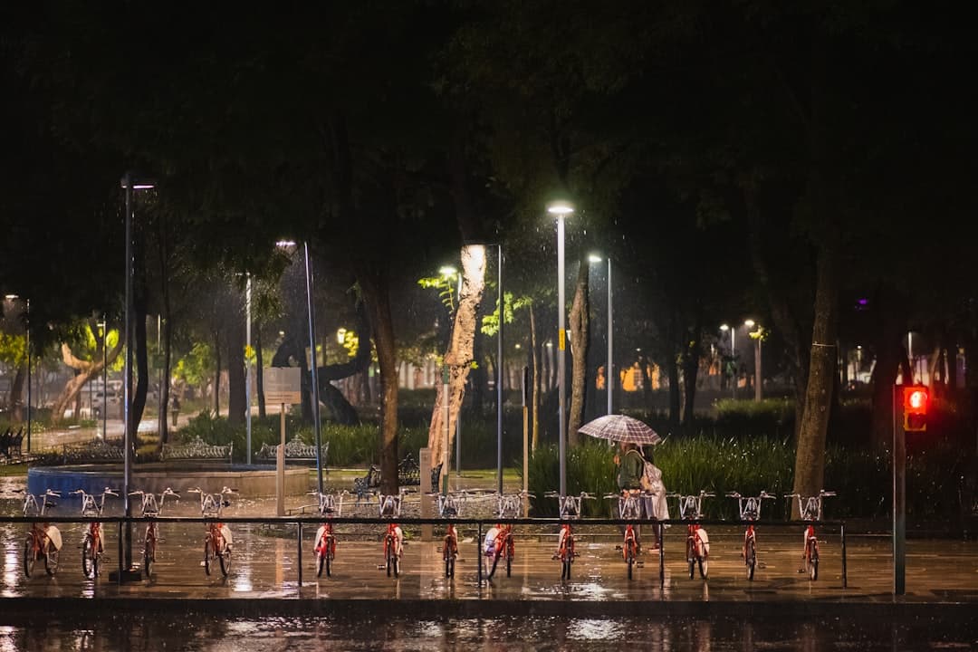 Lluvias vuelven a activar marcha de seguridad en el Metro CDMX y afectan a la Línea A del oriente (imagen adicional)