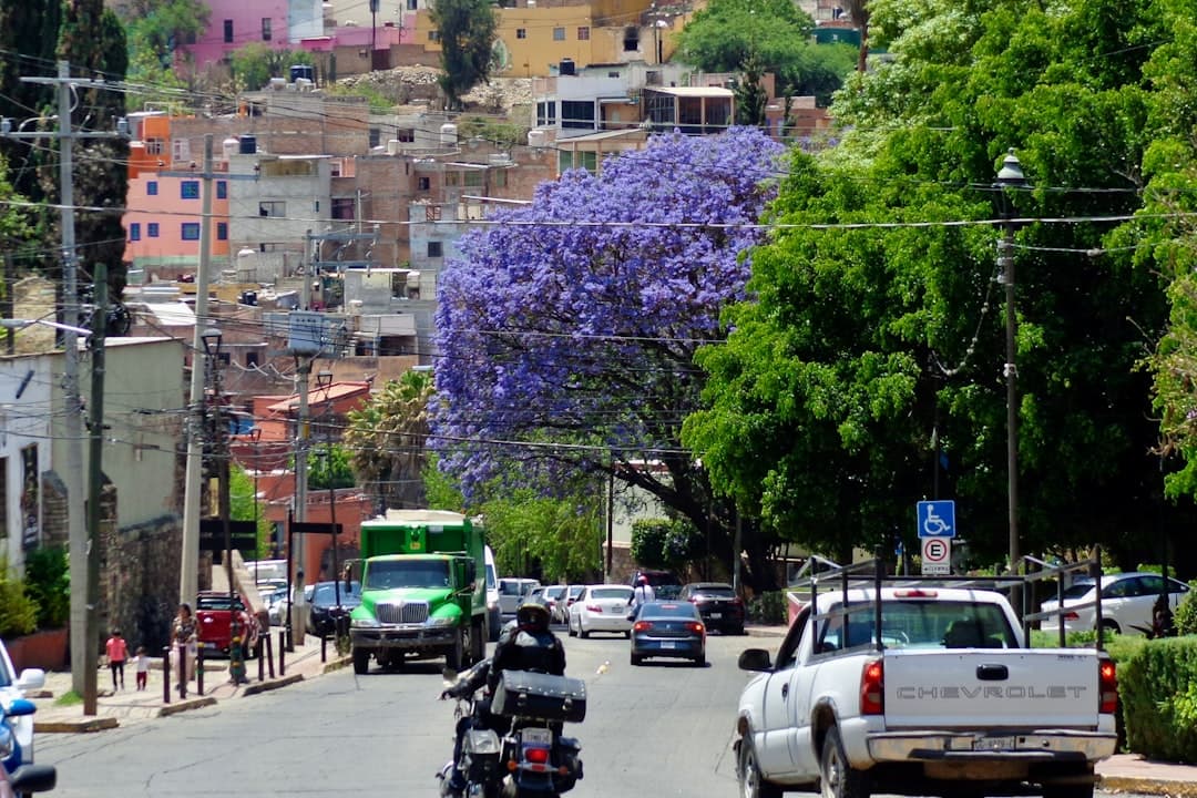 Seguridad vial en México: expertos alertan que la política pública sigue atada al negocio de los seguros (imagen adicional)