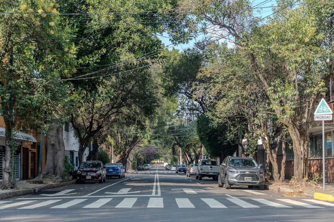Diputado del PAN propone nueva ley de seguridad vial en CDMX tras 111 muertes en tránsito en el primer trimestre de 2026