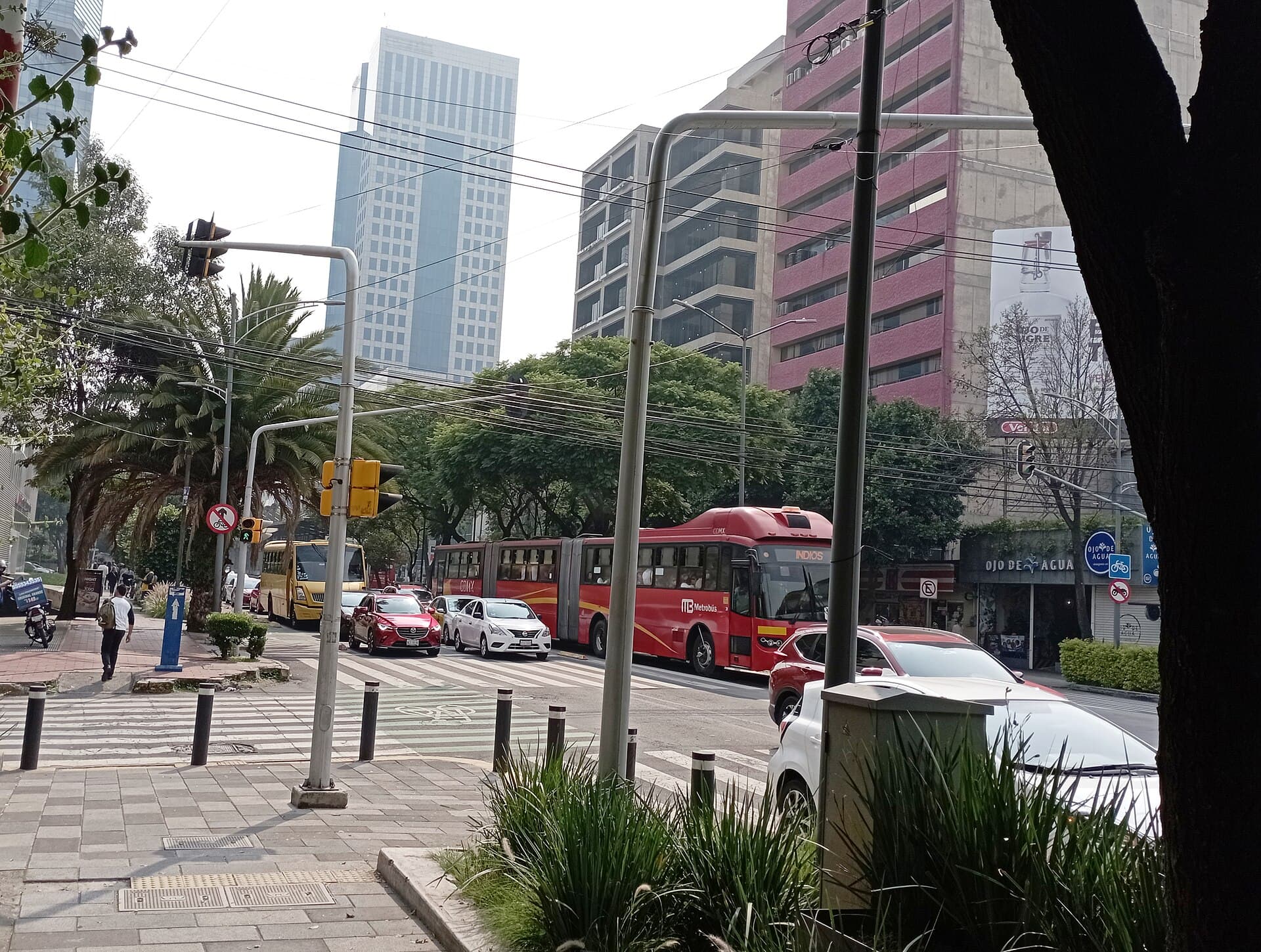 Protestas y lluvia colapsan el Metrobús Línea 1 en Insurgentes; el Metro reporta marcha de seguridad
