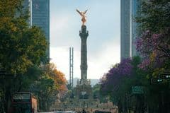 El transporte urbano movilizó 237 millones de pasajeros en enero, pero la Línea 1 del Metrobús y el Tren Ligero de la CDMX pierden usuarios