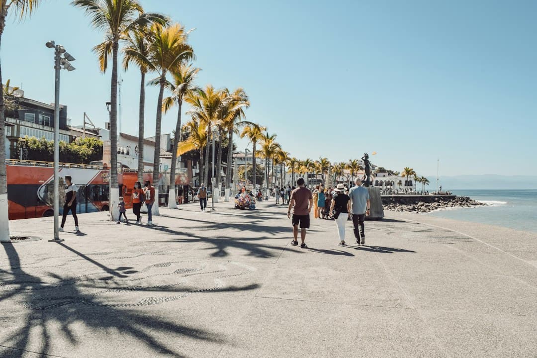 Puerto Vallarta: Ayuntamiento descarta mupis en los nuevos parabuses de la ruta eléctrica y promete apoyo a comerciantes
