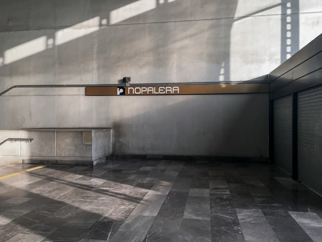 Línea 9 del Metro CDMX: incendio bajo un puente cortó seis estaciones entre Chabacano y Pantitlán